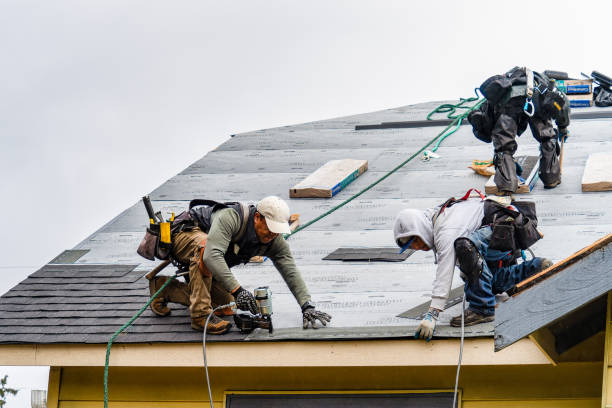 Professional Gutter Installation technician working in Almo, ID